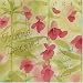 Island Dreams - songs and lullabies carried on the wind