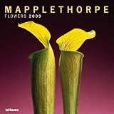 Mapplethorpe Flowers 2009 Calendar (Grid Calendar)