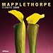Mapplethorpe Flowers 2009 Calendar (Grid Calendar)