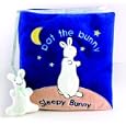 Sleepy Bunny (Pat the Bunny Cloth Book)