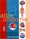 Revue Gamma  / Atlas d'anatomie