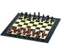 Excalibur World Chess Hall of Fame Collector's Edition Classic