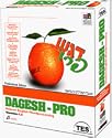 Dagesh Pro IV Hebrew-English Word Processor