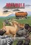Holy Bible, Children's Illustrated Edition Beautiful Art To Draw Kids Into The Scriptures