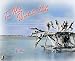 Too Hot, Went To Lake: Seasonal Photos from Minnesota's Past
