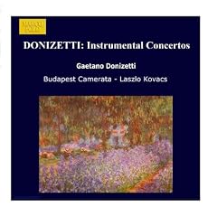 DONIZETTI: Instrumental Concertos