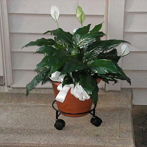3 Wheel Plant Stand