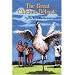The Great Chicken Debacle