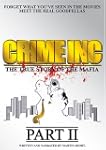 CRIME INC: PART 2