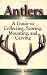 Search Our Specialty Mall : Antlers: A Guide To Collecting, Scoring, Mounting, And Carving