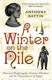 A winter on the Nile : Florence Nightingale, Gustave Flaubert and the temptations of Egypt