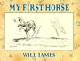 My First Horse (Tumbleweed Series)
