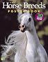The Horse Breeds Poster Book