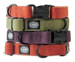 Planet Dog Natural Hemp Adjustable Collar, Orange, Medium