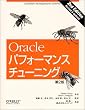 Oracle �p�t�H�[�}���X�`���[�j���O