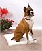 Pet Supplies : Dog Housebreaking & Training Pad Holder