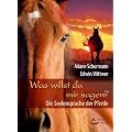 Was willst du mir sagen? - Die Seelensprache der Pferde