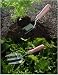 SOFT PINK HAND TOOL SET FOR THE GARDENER