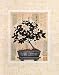 Gardenia Bonsai PREMIUM GRADE Rolled CANVAS Art Print Richard Henson 8x10