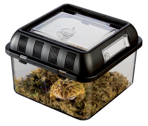 Exo Terra PT2270 Brutbox, klein