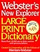 Books : Webster's New Explorer Large Print Dictionary