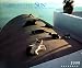 Book Cal 99 Cats in the Sun Calendar