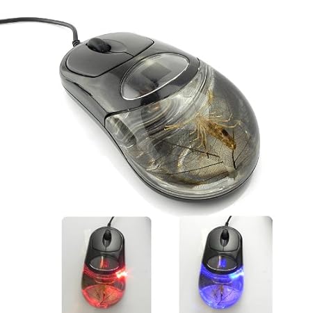 USB Mouse 
