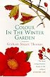 Colour In The Winter Garden