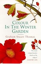 Colour In The Winter Garden