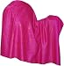 Kashmiri Wool Shawl Stole with Embroidery 80 x 40 inches (ebs300)
