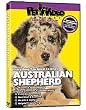 AUSTRALIAN SHEPHERD DVD! + Dog & Puppy Training Bonus (DoggyDVD)