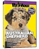 AUSTRALIAN SHEPHERD DVD! + Dog & Puppy Training Bonus (DoggyDVD)