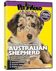 AUSTRALIAN SHEPHERD DVD! + Dog & Puppy Training Bonus (DoggyDVD)