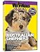 AUSTRALIAN SHEPHERD DVD! + Dog & Puppy Training Bonus (DoggyDVD)