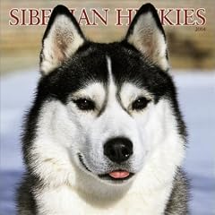 Siberian Huskies 2004 Calendar