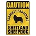 image 26 - CAUTION PROPERTY PROTECTED BY SHETLAND SHEEPDOG PARKING SIGN