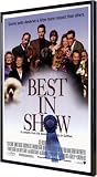 Best in Show 11