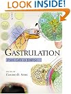 Gastrulation: From Cells to Embryo