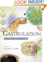 Gastrulation: From Cells to Embryo