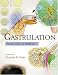 Book Gastrulation: From Cells to Embryo