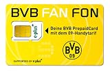 BVB FAN