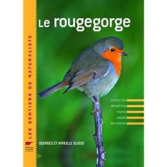 Le rougegorge