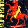 Split Lip Rayfield