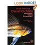 South American Dwarf Cichlids (Aqualog Book, Vol. 1)