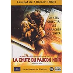 La Chute du faucon noir
