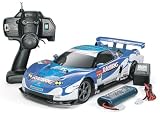1/10 XBシリーズ No.45 XB レイブリック NSX 2005 ( 完成品 )