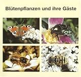 Bluetenpflanzen und ihre Gaeste