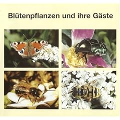 Bl�tenpflanzen und ihre G�ste