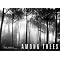 Trees and spirit