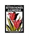 Better Homes and Gardens, May 1931 poster print,11.5 in. x 14.8 in.
